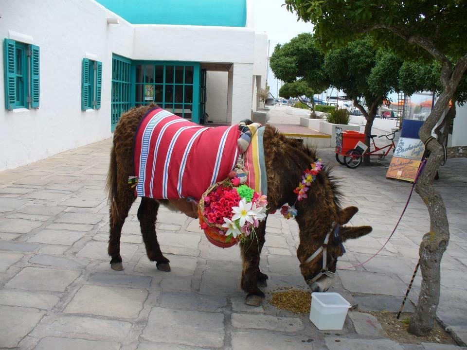 Mykonos Holidays @ Club Mykonos Langebaan Buitenkant foto